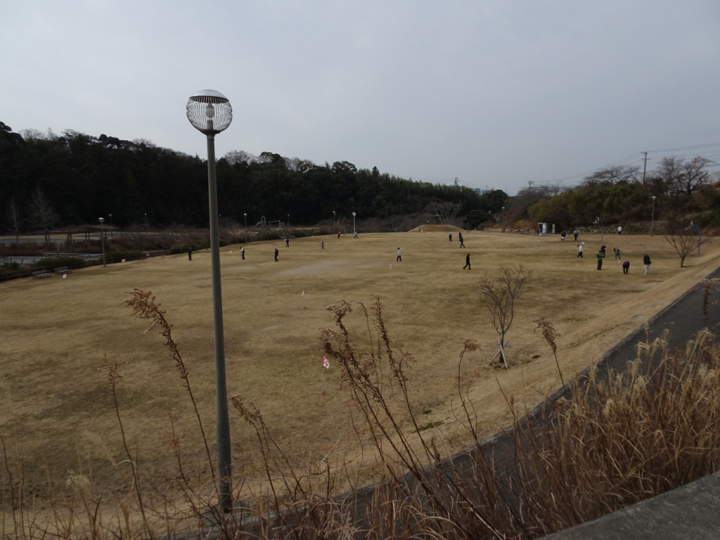 Y Hamadaのブログ
