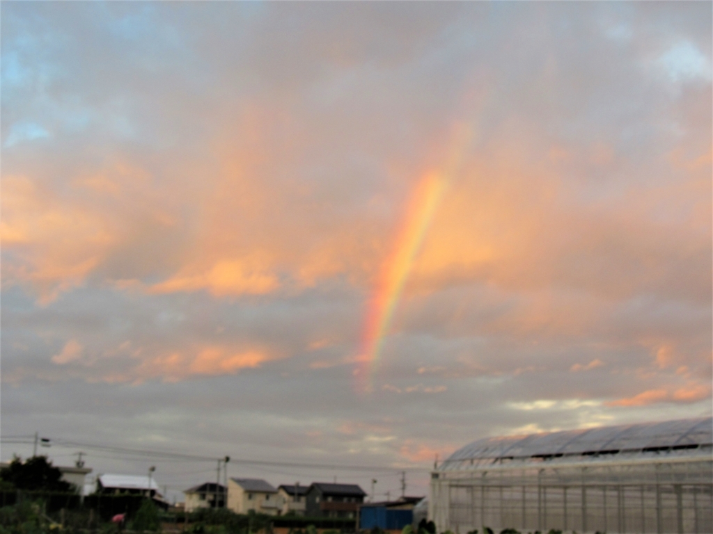 f:id:y_hamada:20180808183959j:plain