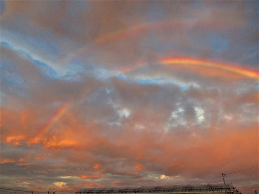 f:id:y_hamada:20180808184127j:plain