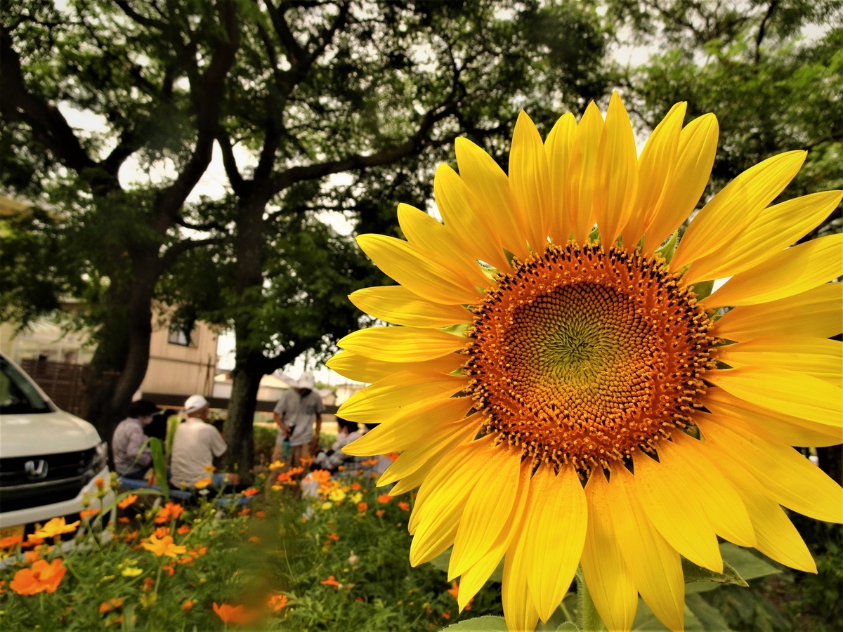 f:id:y_hamada:20210726094911j:plain