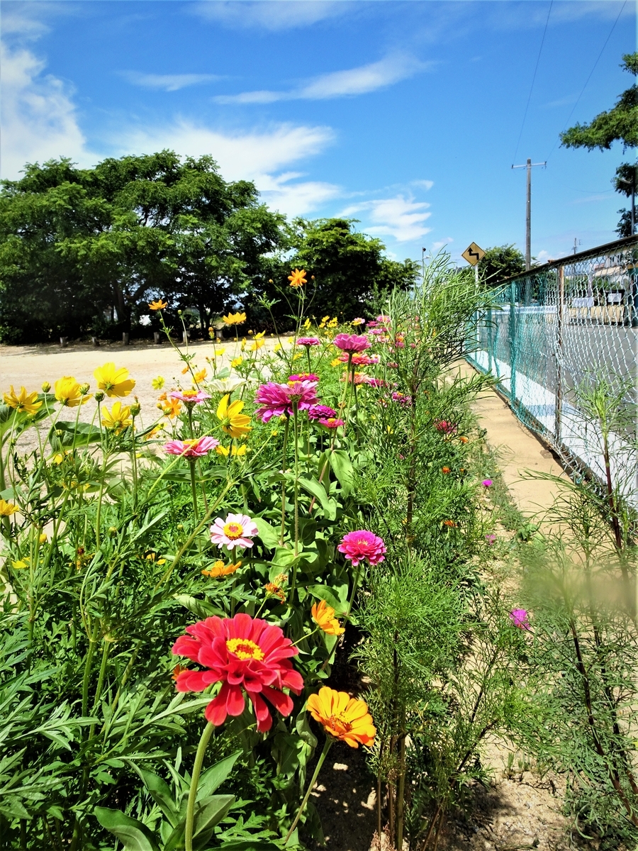 f:id:y_hamada:20210728111605j:plain