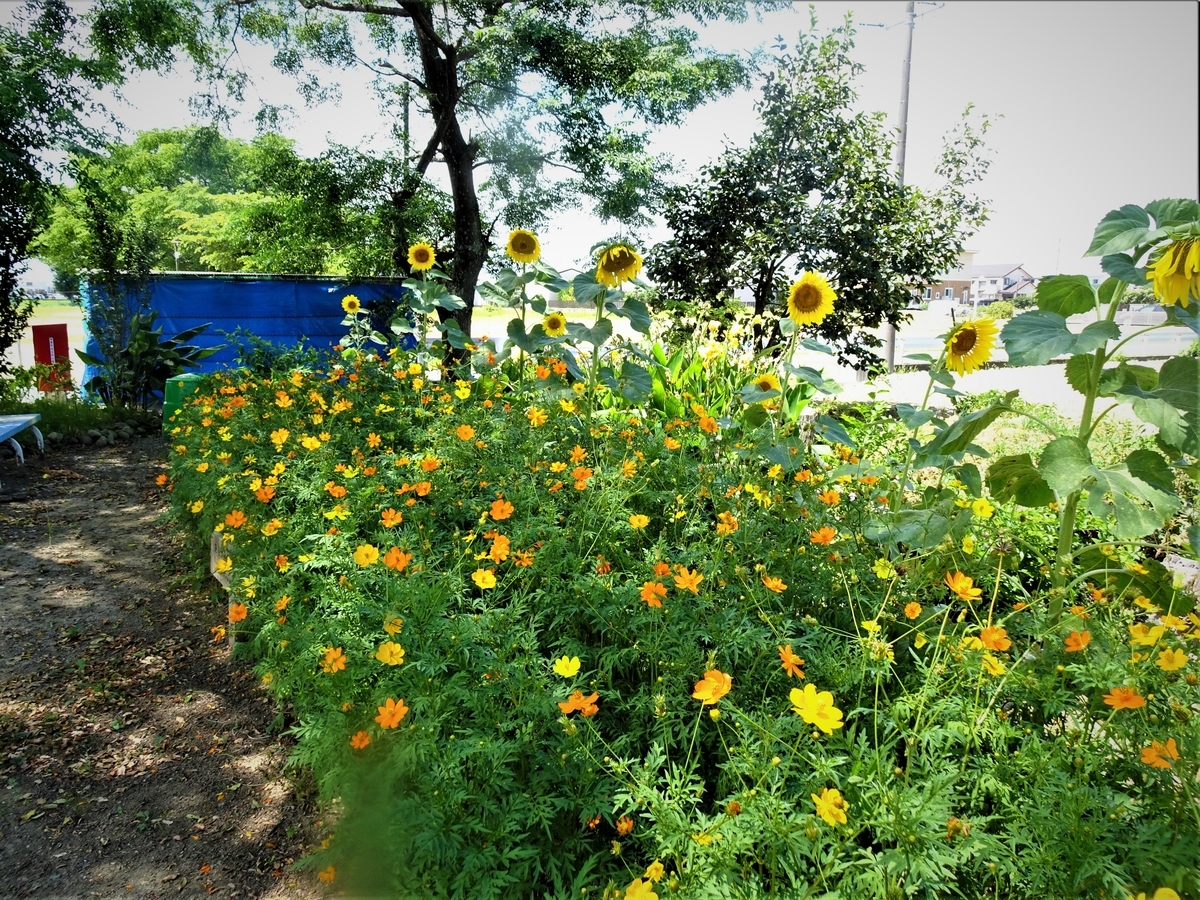 f:id:y_hamada:20210728111751j:plain