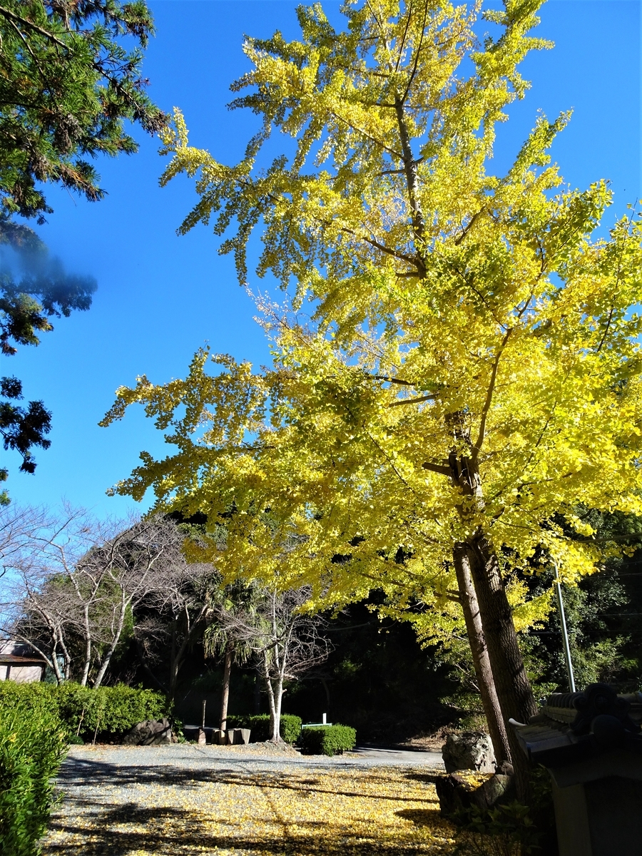神久呂の風景 13 深まる秋の風景 Y Hamadaのブログ