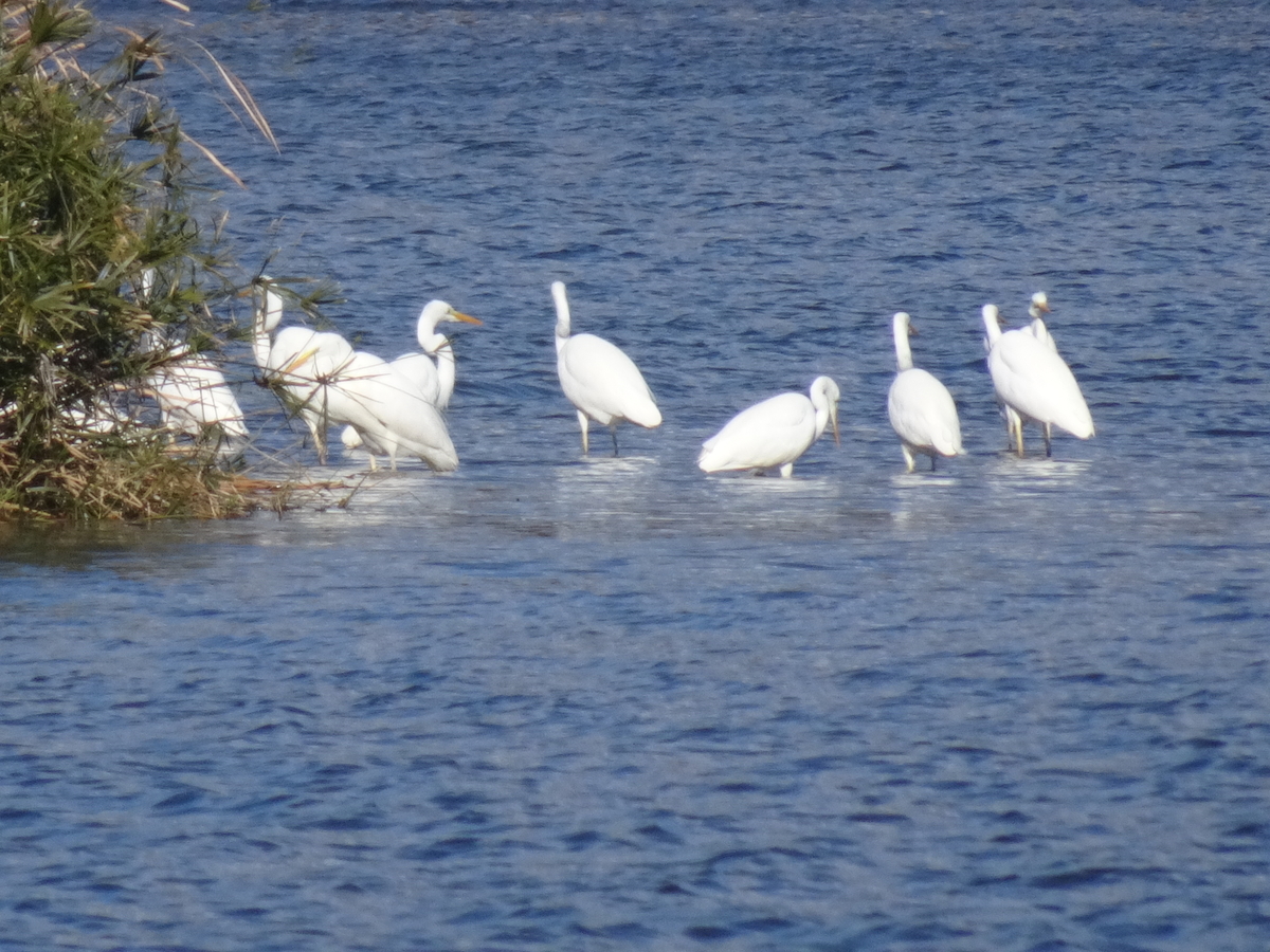 f:id:y_hamada:20211204101729j:plain