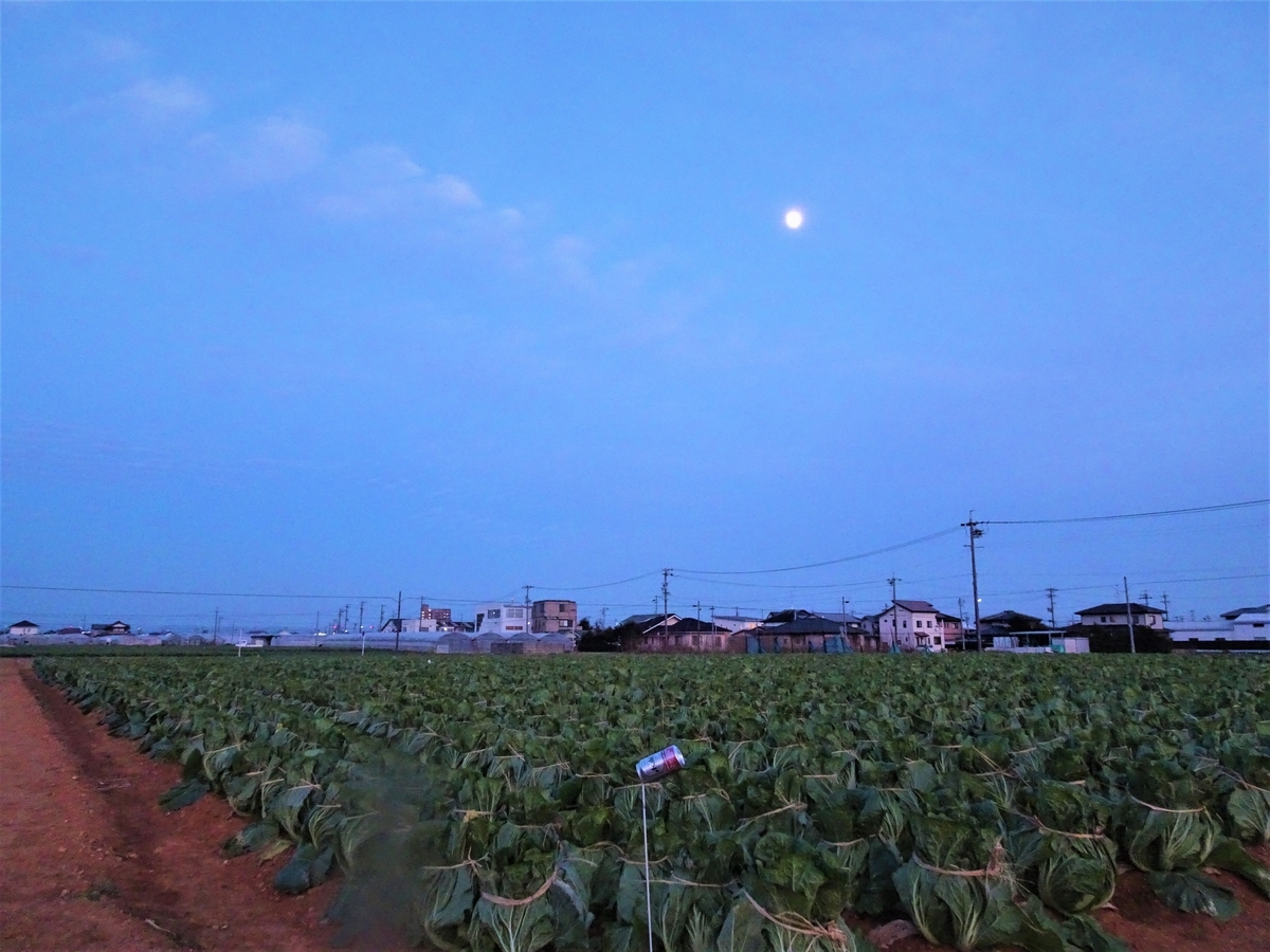 f:id:y_hamada:20211216170253j:plain