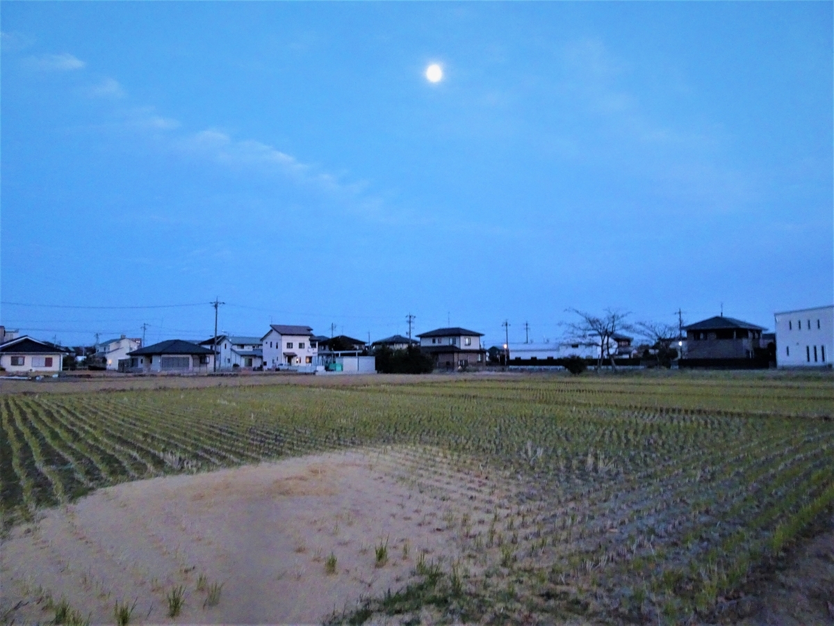 f:id:y_hamada:20211216170557j:plain