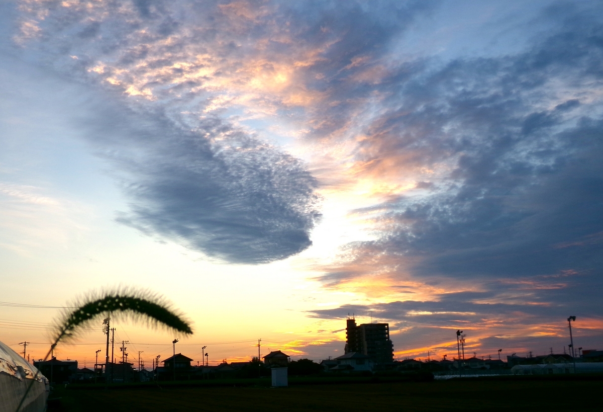 浜ちゃん89歳の散歩道(934) 東の空に自然が描く光と雲の模様は自然画そのもので素晴らしい - y_hamadaのブログ