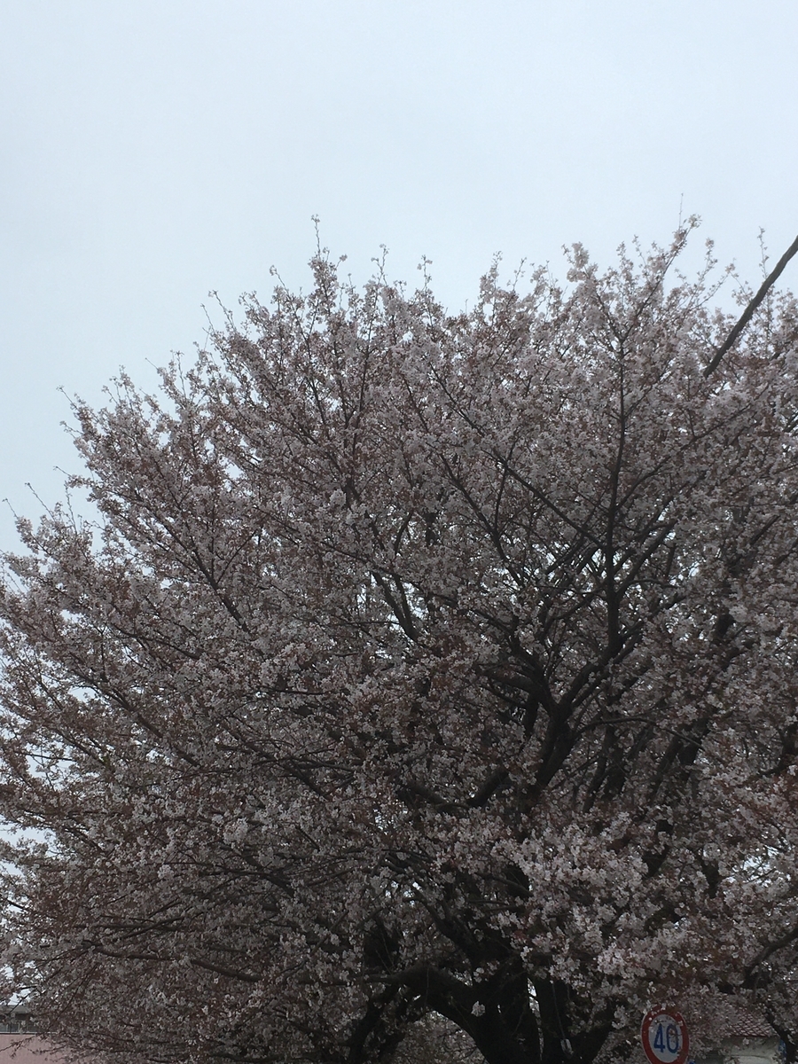 f:id:y_myway:20200329203050j:plain f:id:y_myway:20200329203050j:plain