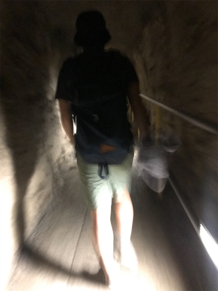 f:id:y_ome:20190620202326j:image f:id:y_ome:20190620202326j:image