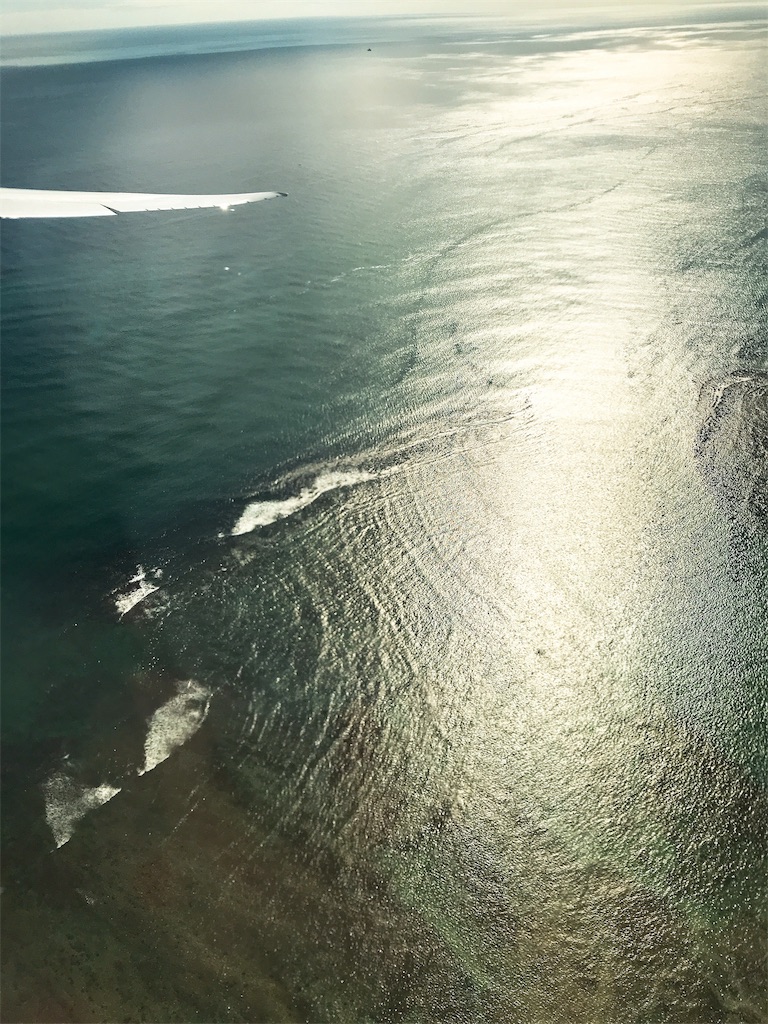 f:id:y_ome:20190620205639j:image f:id:y_ome:20190620205639j:image