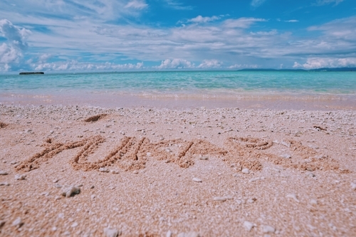 f:id:y_pin_a:20190102094014j:plain f:id:y_pin_a:20190102094014j:plain