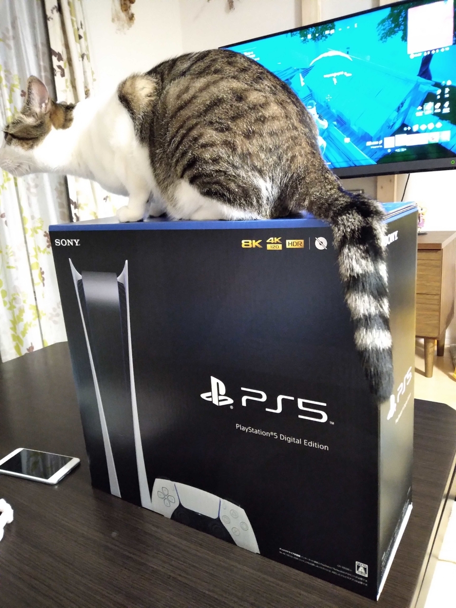 PS5の箱と猫