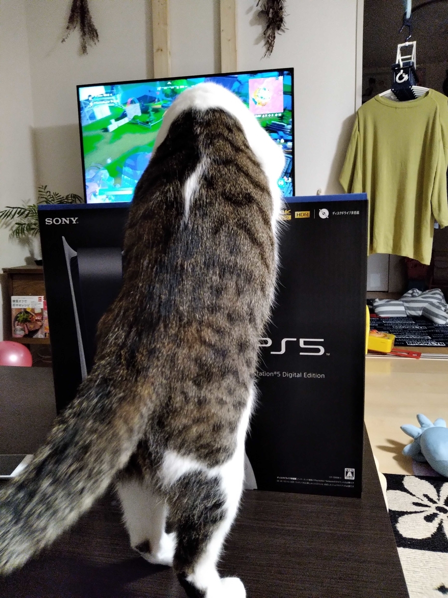 PS5の箱に乗ろうとする猫
