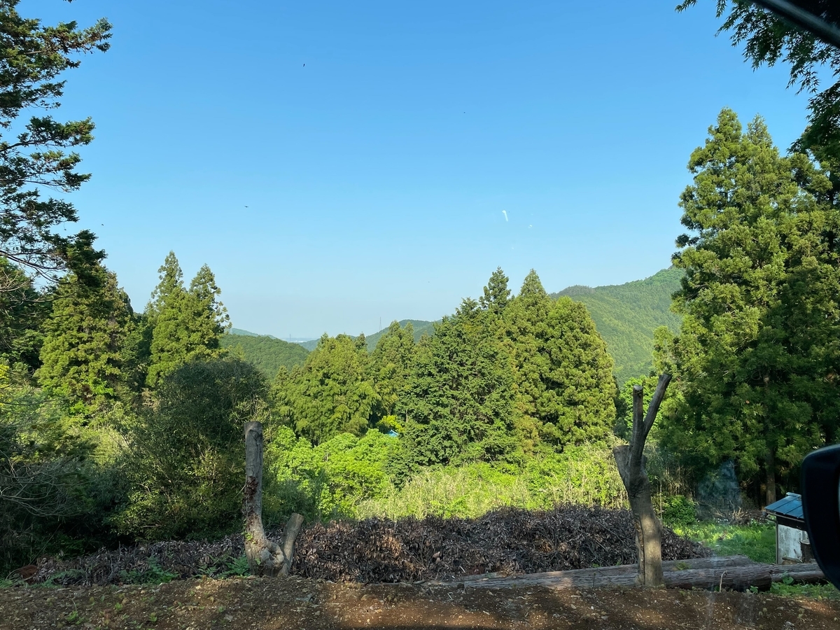 近隣の山からの風景