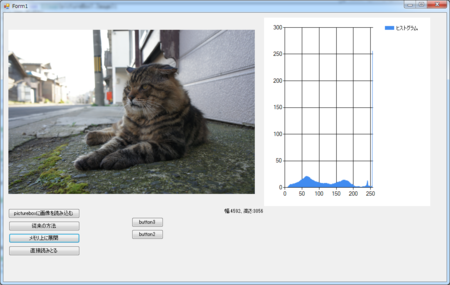 f:id:y_takeuchi:20100924184431p:image