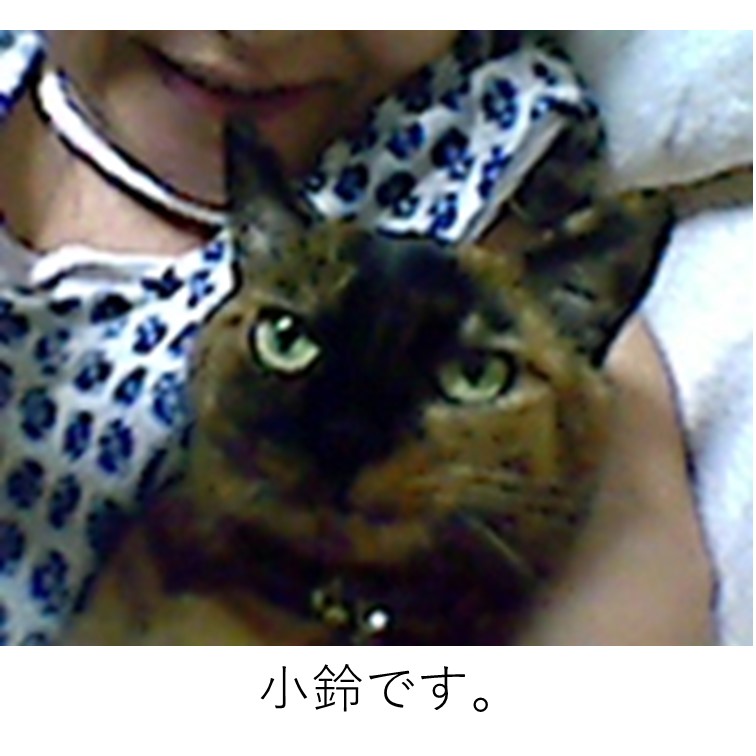 f:id:ya-sone:20190722110753j:plain