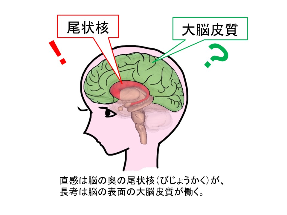 f:id:ya-sone:20191115111632j:plain f:id:ya-sone:20191115111632j:plain