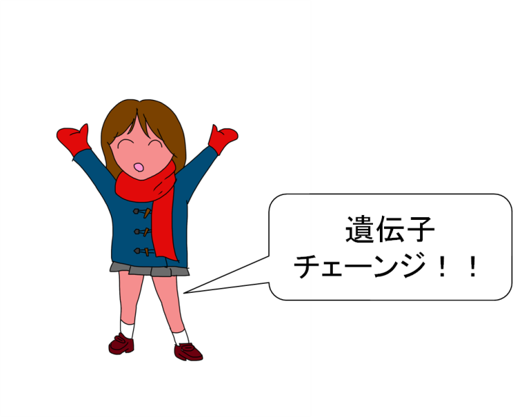 f:id:ya-sone:20200316115447p:plain f:id:ya-sone:20200316115447p:plain