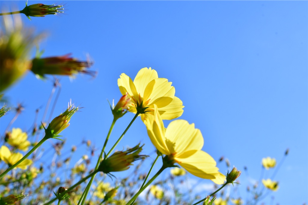 f:id:ya944:20231022073125j:image