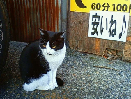 20091113140149