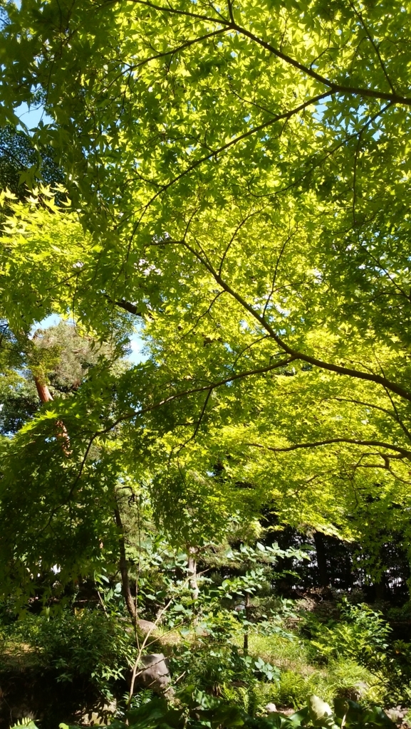 f:id:yaaboku:20180505202347j:plain f:id:yaaboku:20180505202347j:plain