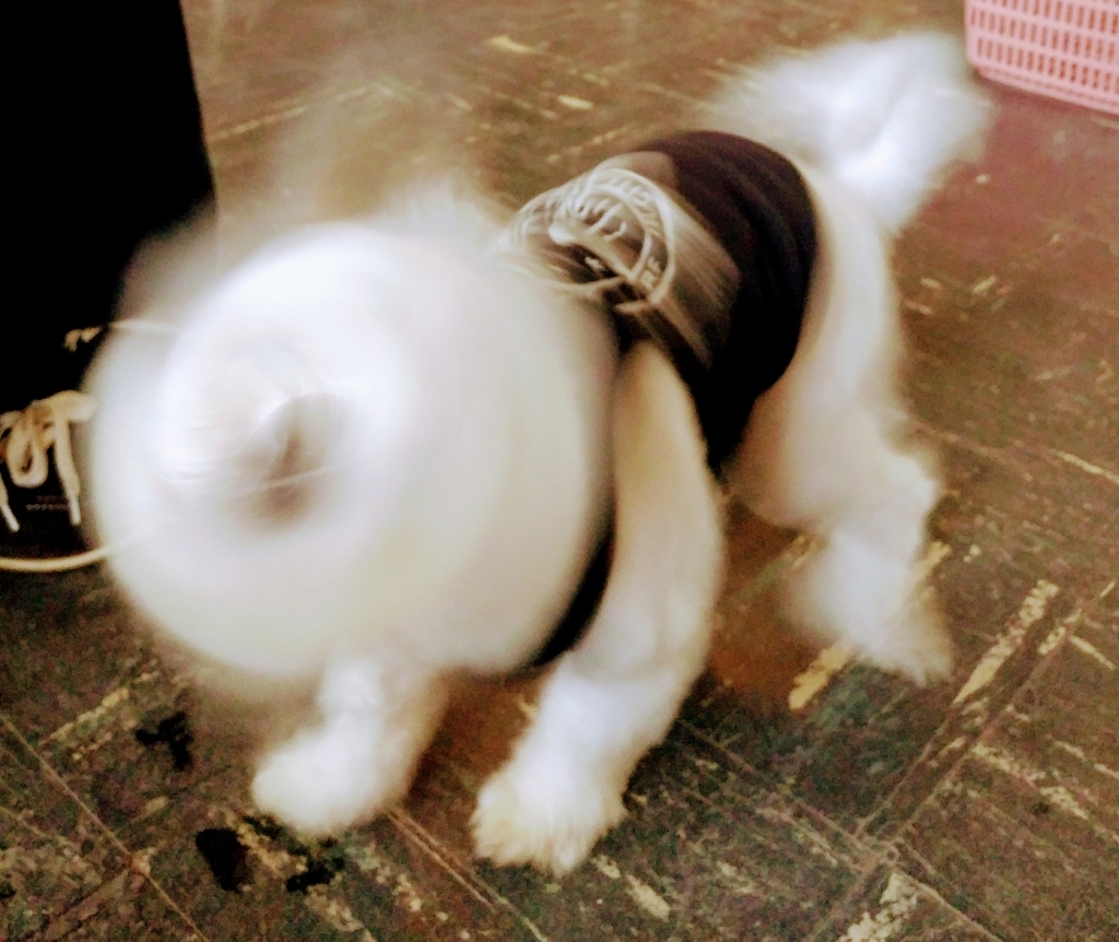 f:id:yaaji:20180119170607j:plain