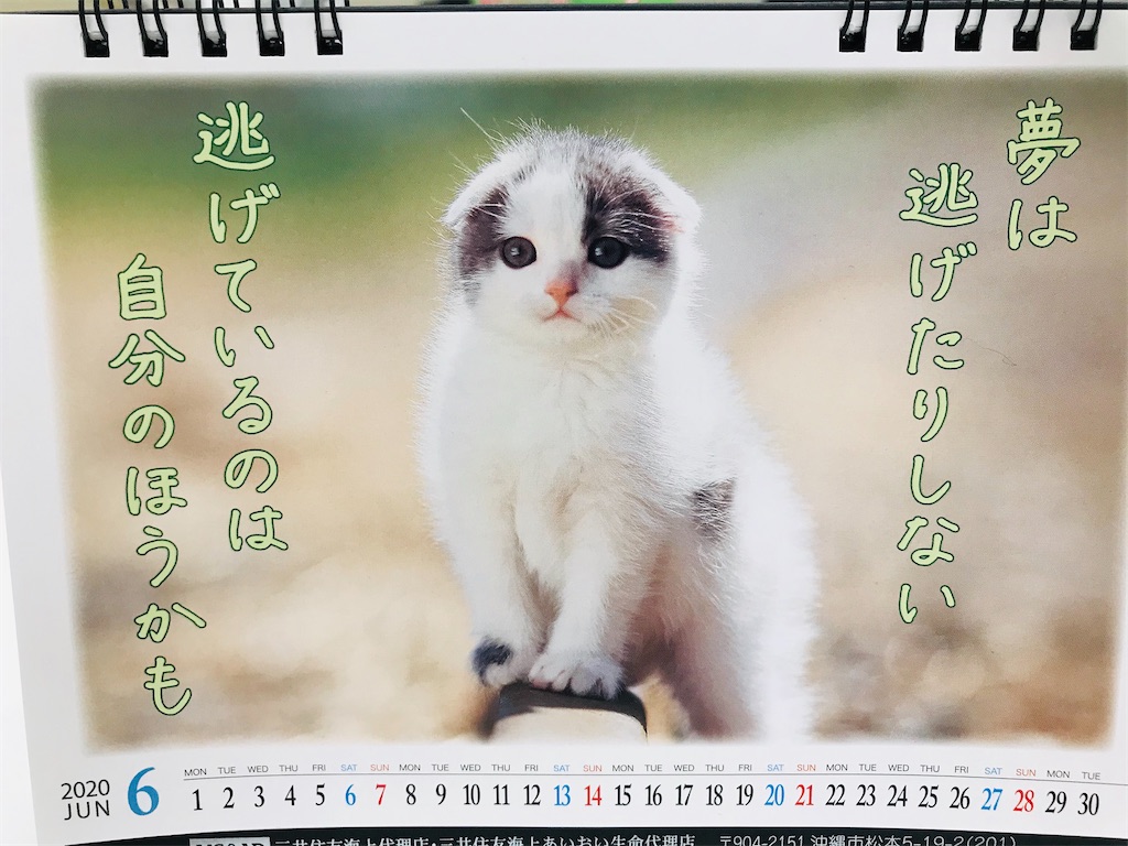 f:id:yaaninju-yui35:20200630170307j:image f:id:yaaninju-yui35:20200630170307j:image