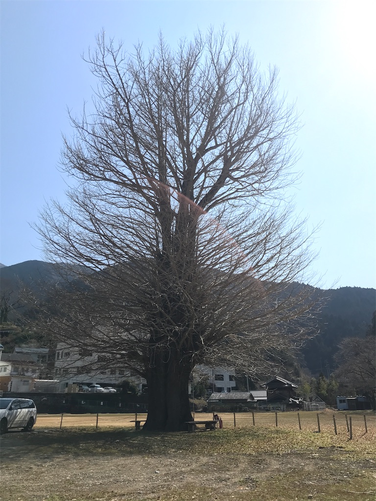 f:id:yaaninju-yui35:20220310224914j:image f:id:yaaninju-yui35:20220310224914j:image