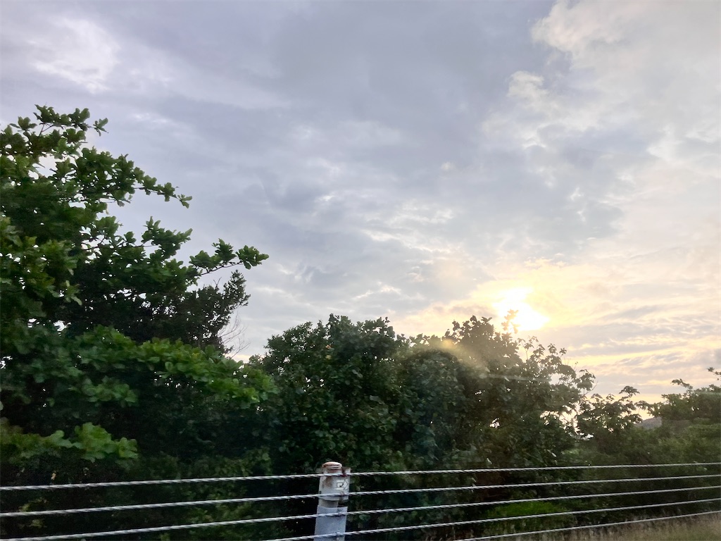 f:id:yaaninju-yui35:20240519072124j:image