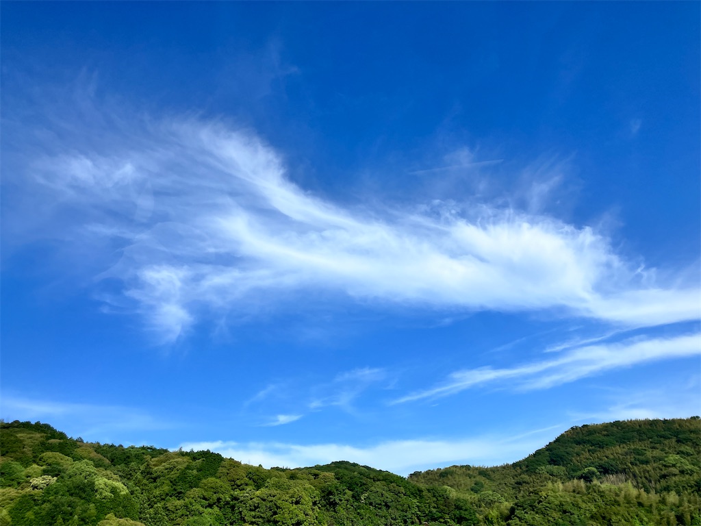 f:id:yaaninju-yui35:20240607204258j:image