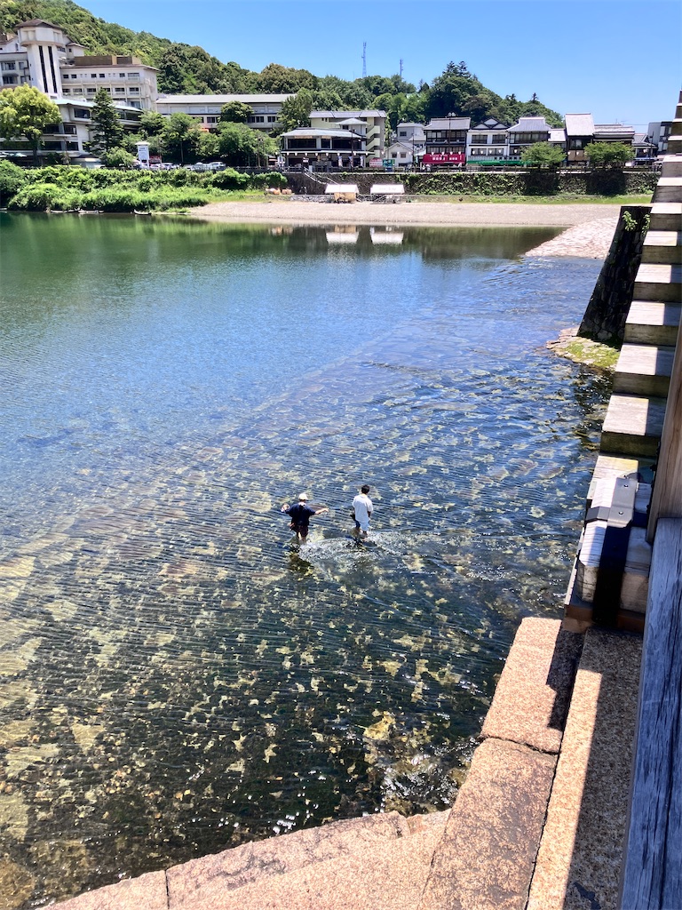 f:id:yaaninju-yui35:20240607204302j:image