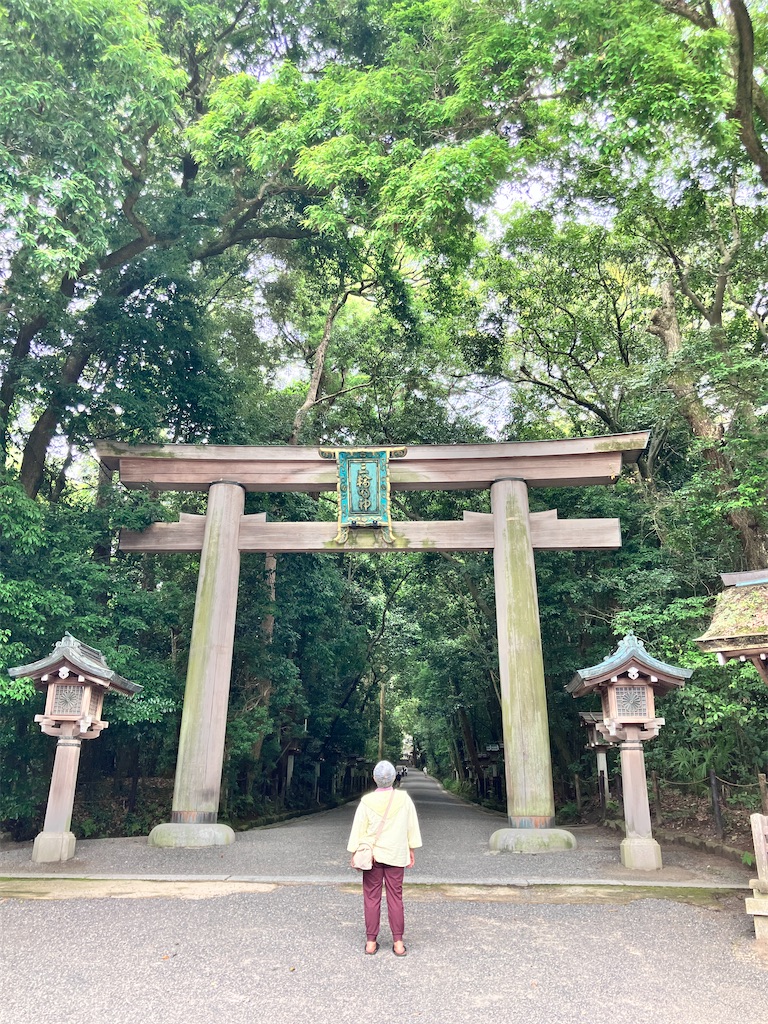 f:id:yaaninju-yui35:20240621065202j:image