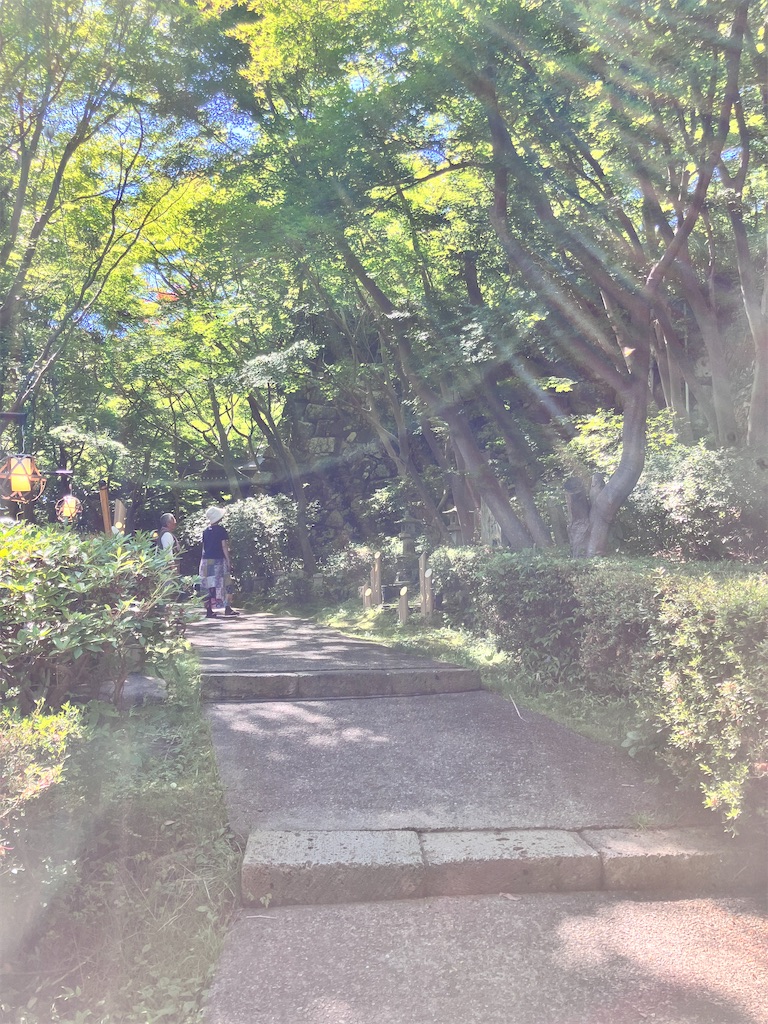 f:id:yaaninju-yui35:20240622070036j:image