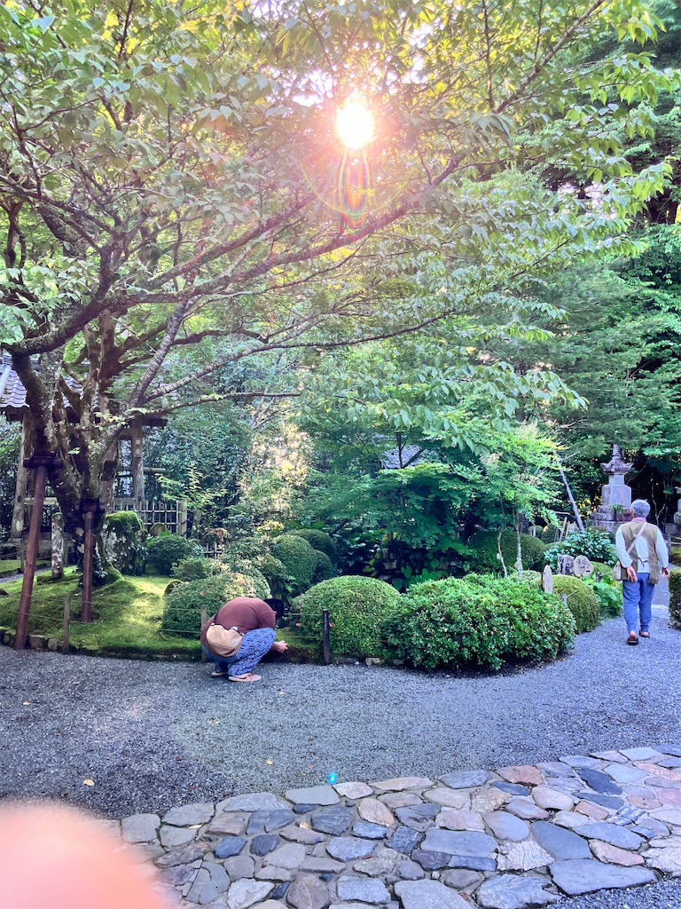 f:id:yaaninju-yui35:20240622070041j:image