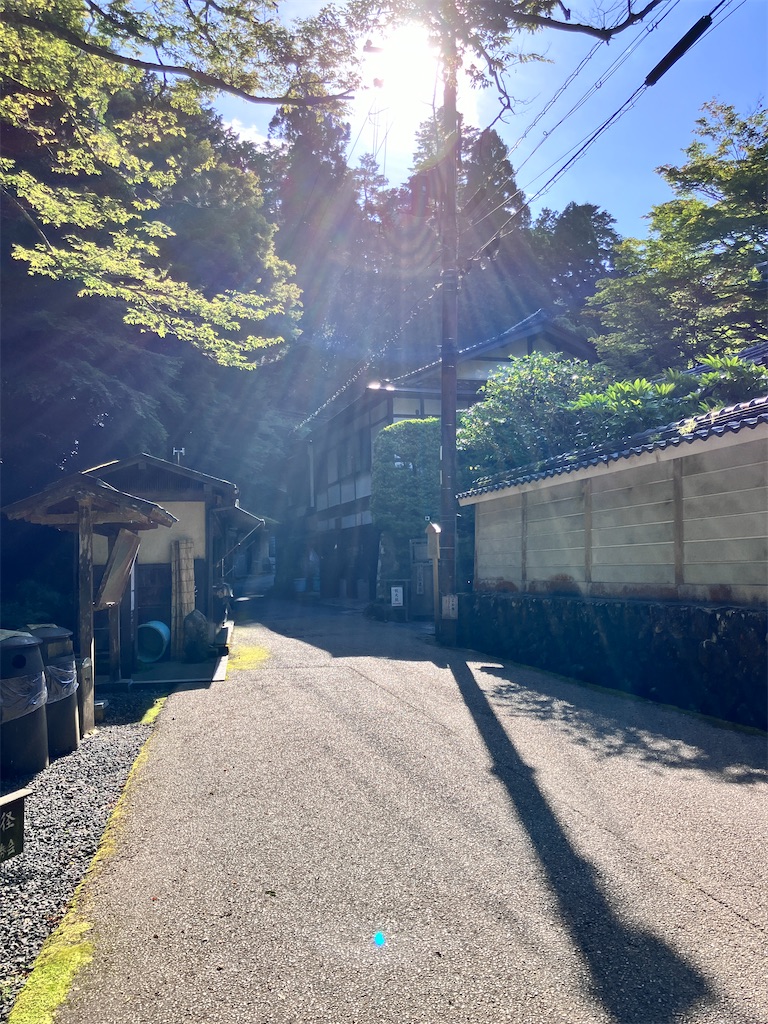 f:id:yaaninju-yui35:20240622070044j:image