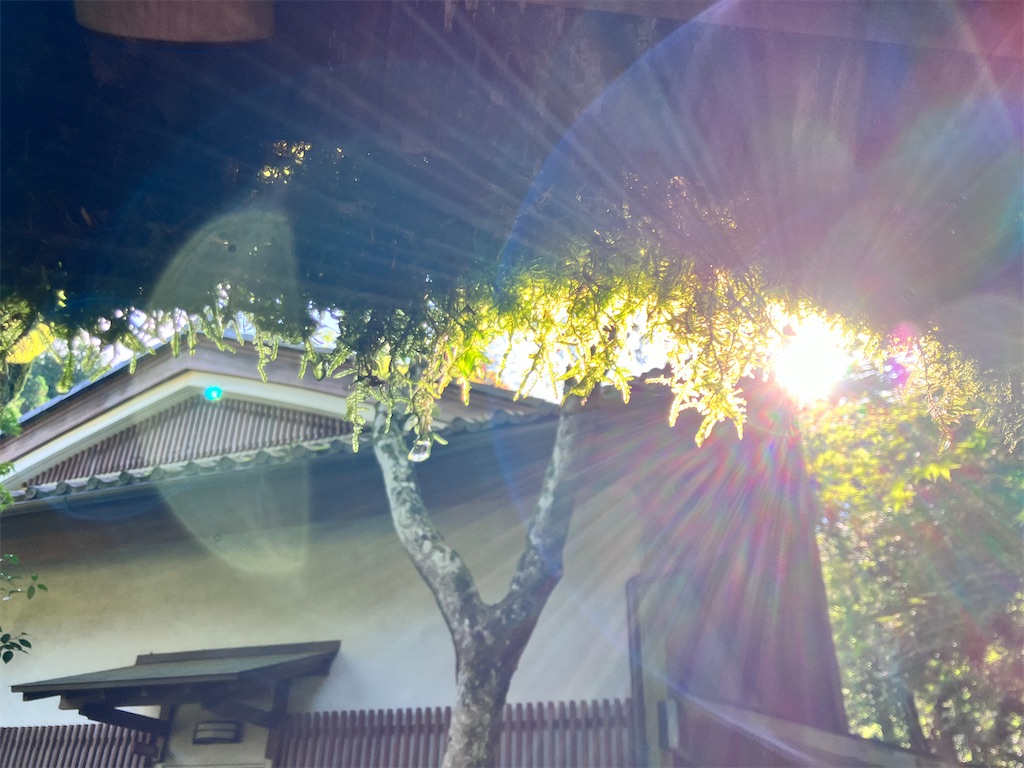 f:id:yaaninju-yui35:20240622070106j:image