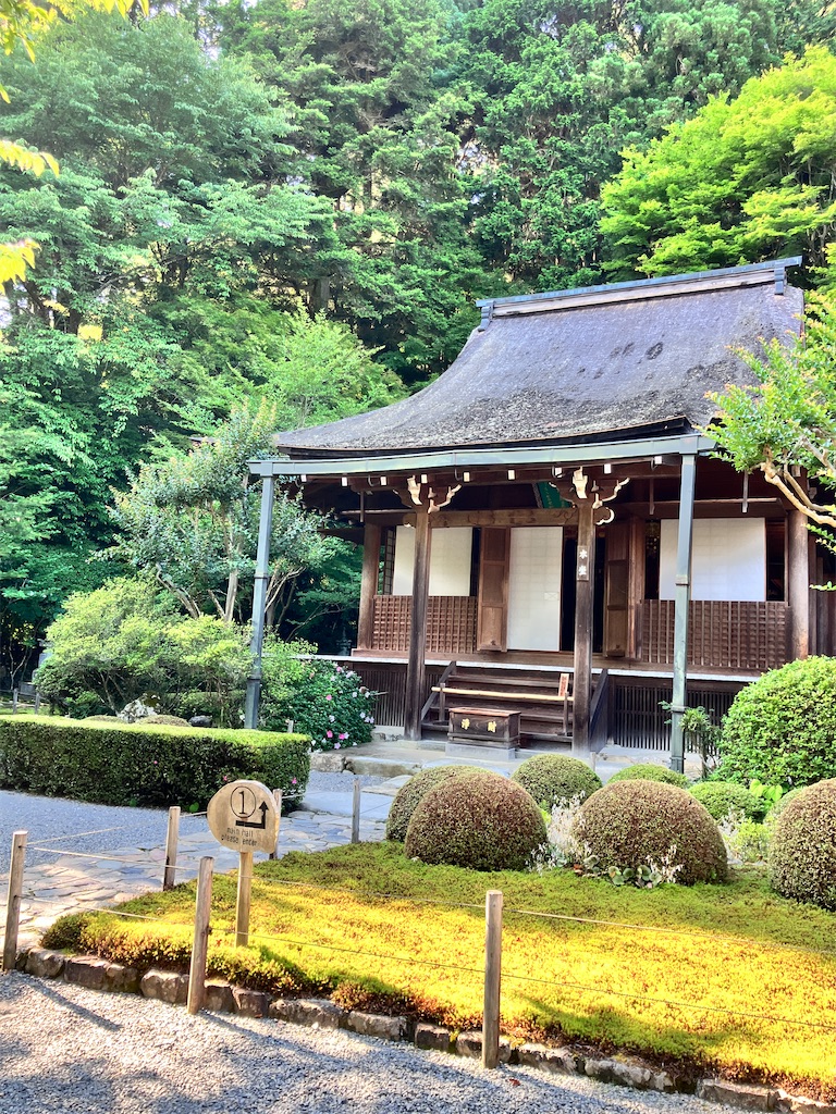 f:id:yaaninju-yui35:20240622070120j:image