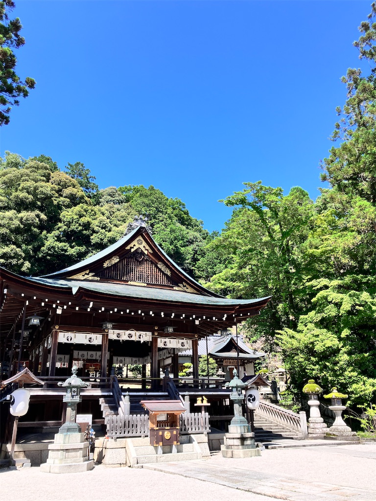 f:id:yaaninju-yui35:20240622070128j:image