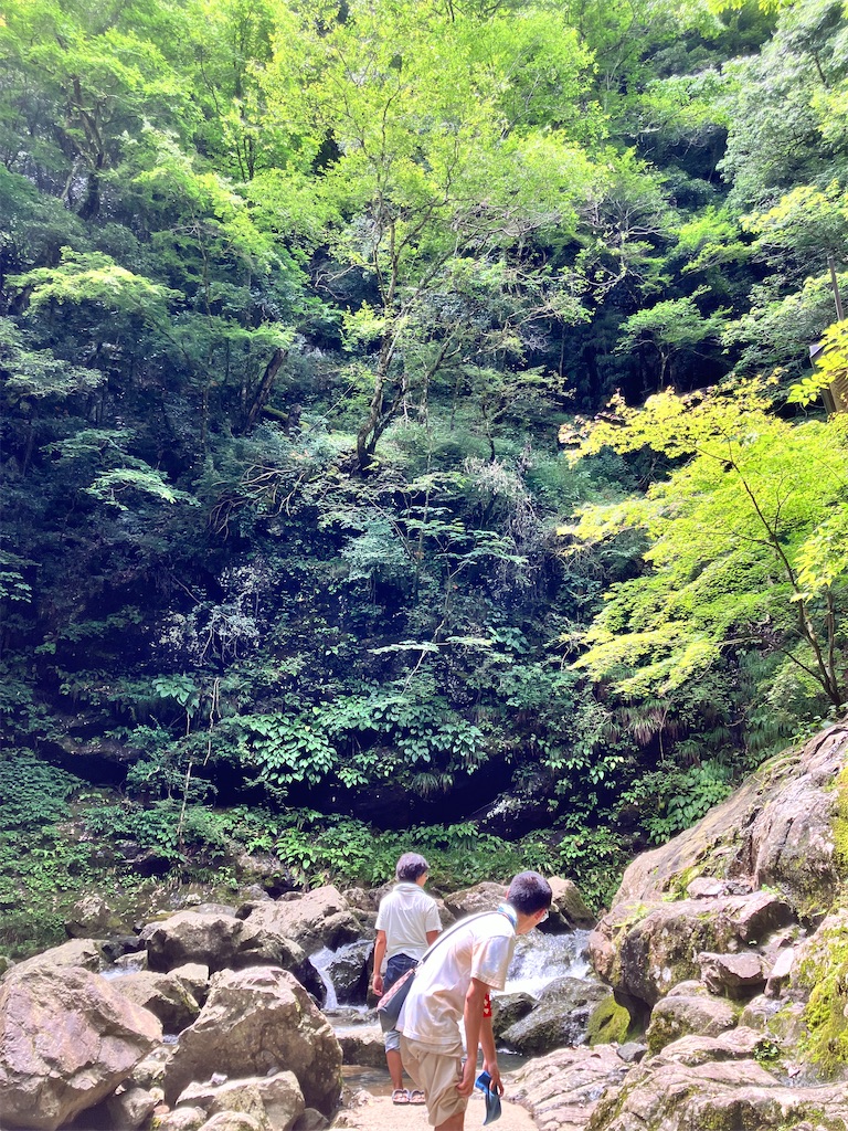 f:id:yaaninju-yui35:20240727054830j:image