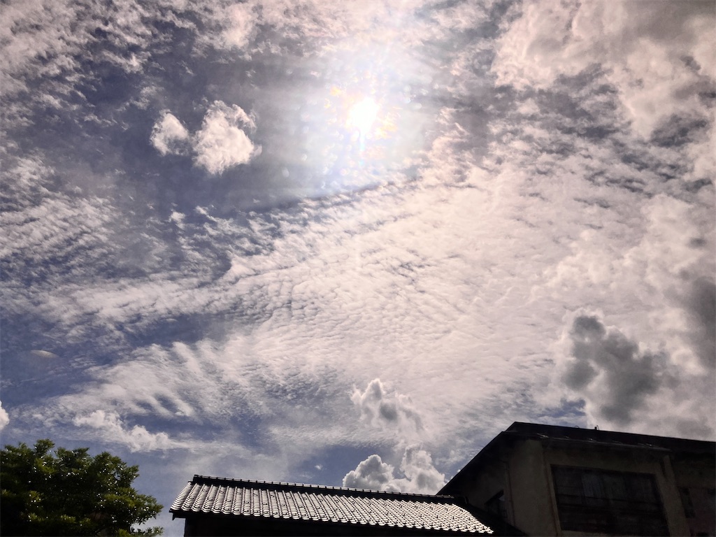 f:id:yaaninju-yui35:20240727054931j:image