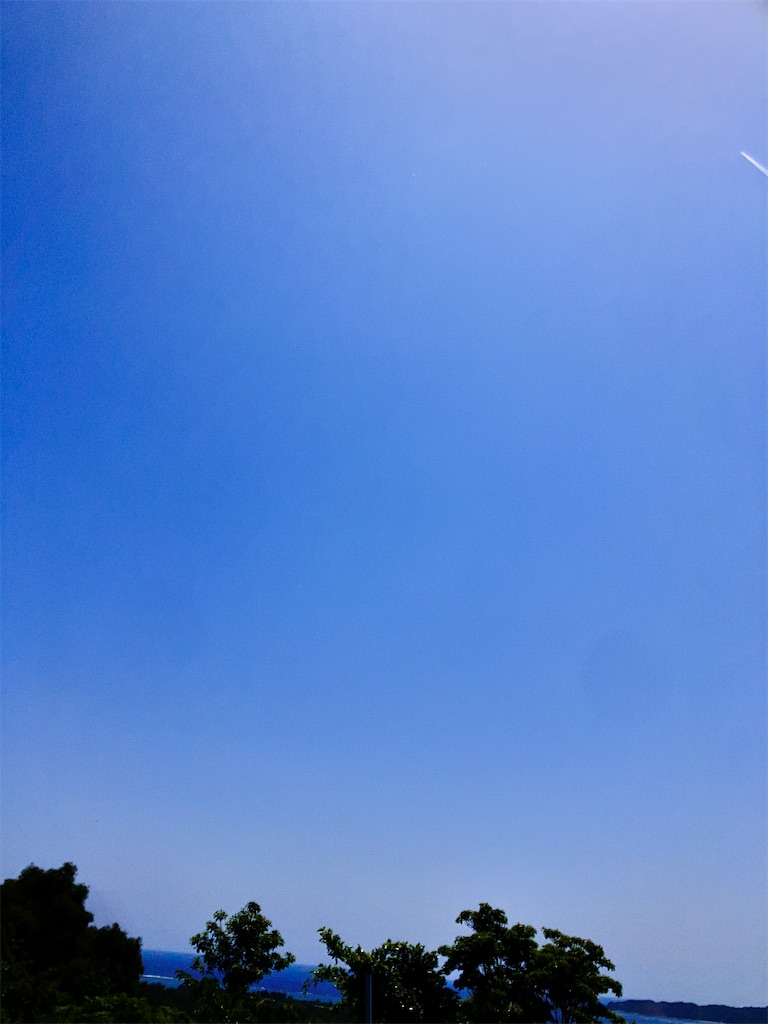 f:id:yaaninju-yui35:20250412202602j:image f:id:yaaninju-yui35:20250412202602j:image