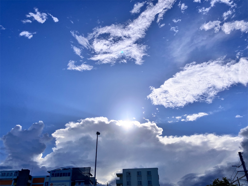 f:id:yaaninju-yui35:20250703172551j:image f:id:yaaninju-yui35:20250703172551j:image