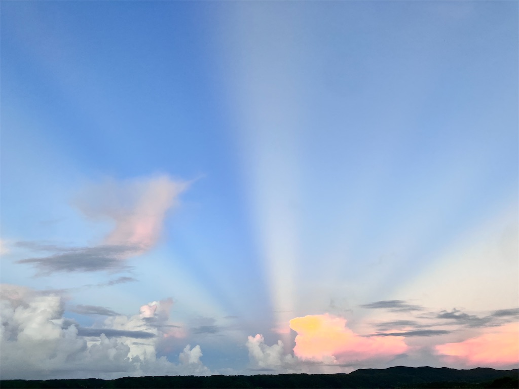 f:id:yaaninju-yui35:20250703172556j:image f:id:yaaninju-yui35:20250703172556j:image