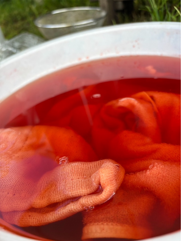 f:id:yaaninju-yui35:20250703173353j:image f:id:yaaninju-yui35:20250703173353j:image