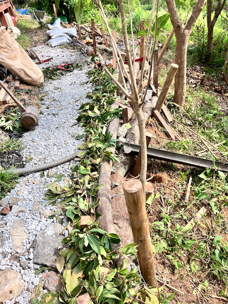 f:id:yaaninju-yui35:20251008203035j:image f:id:yaaninju-yui35:20251008203035j:image