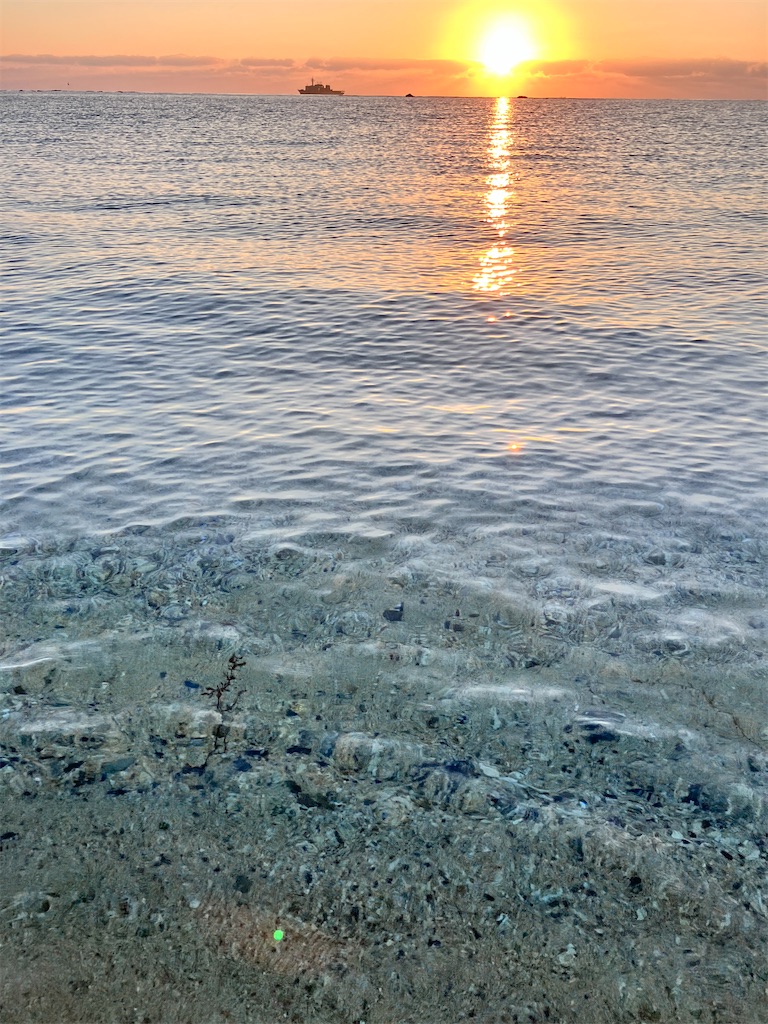 f:id:yaaninju-yui35:20251014204641j:image