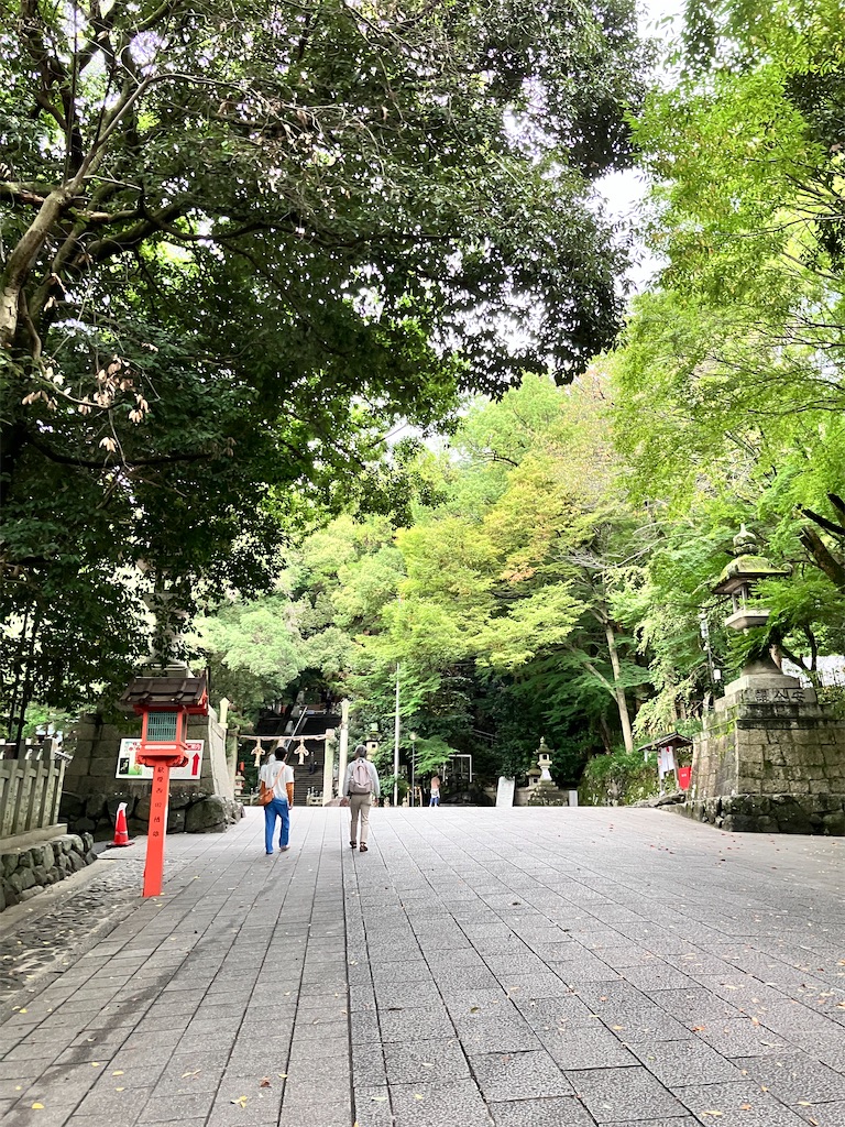 f:id:yaaninju-yui35:20251021165657j:image