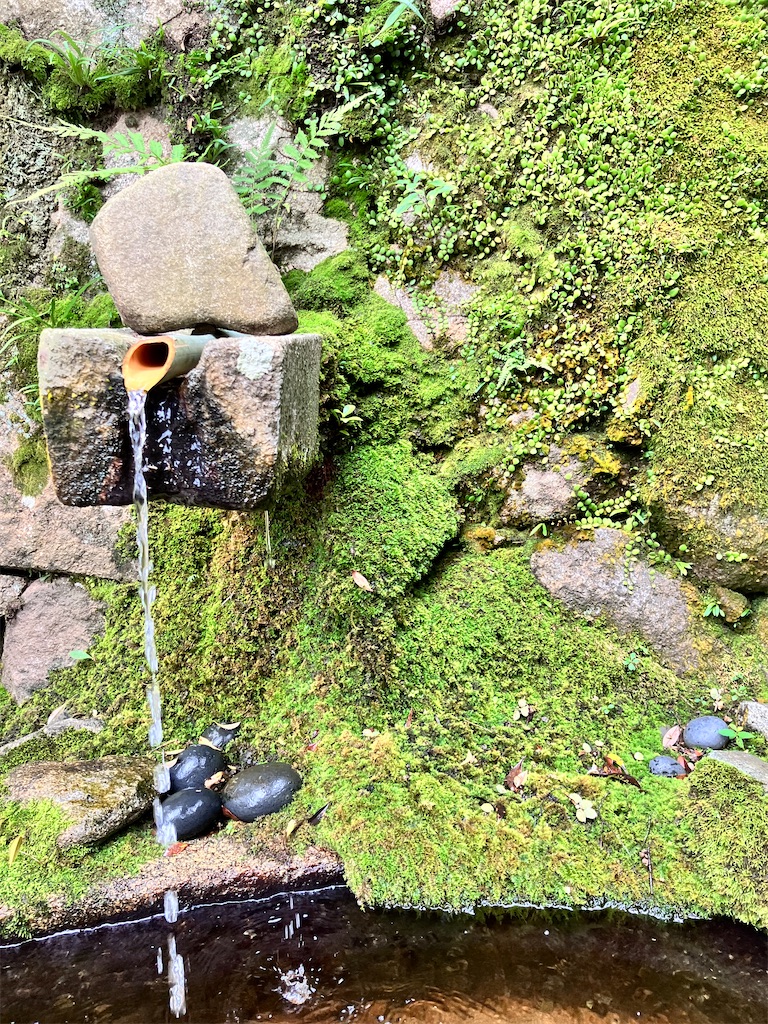 f:id:yaaninju-yui35:20251021170027j:image