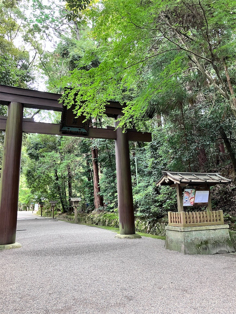 f:id:yaaninju-yui35:20251021170034j:image