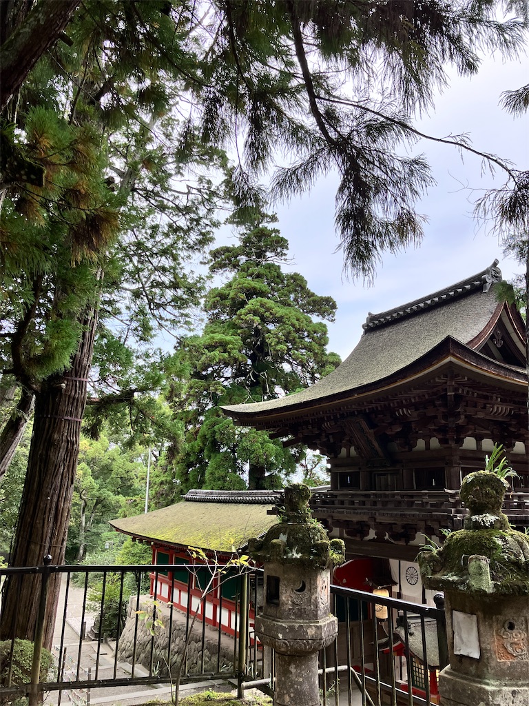 f:id:yaaninju-yui35:20251021170049j:image